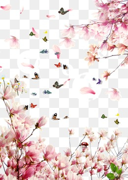 Sakura Flower PNG HD Transparent Sakura Flower HD.PNG Images ...