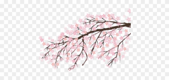 Sakura Png Images Free Download Japanese Cherry Blossom - Tree Anime Sakura Png