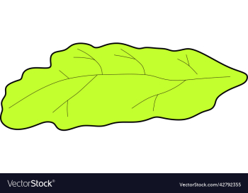 salad salad