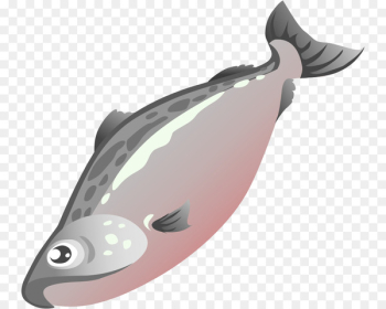 Salmon Fish Clip art - Cute Salmon Cliparts Salmon Fish Clip art - Cute Salmon Cliparts