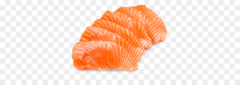 Salmon Sashimi Sushi Food Fish - sushi Salmon Sashimi Sushi Food Fish - sushi