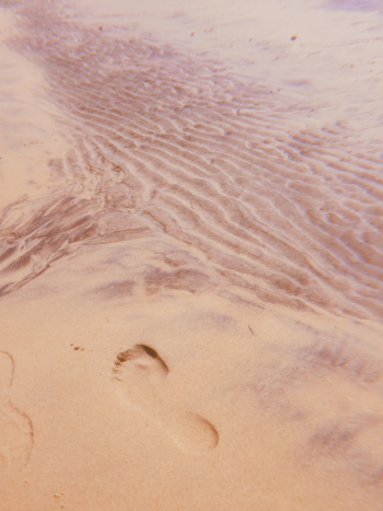 Sand Sand