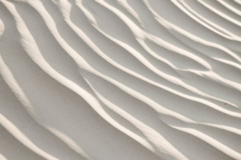 sand dune sand dune