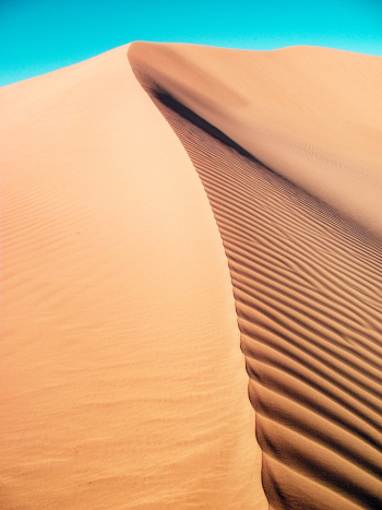 Sand Dune Sand Dune