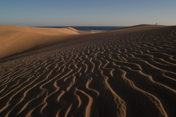 Sand Dunes Sand Dunes