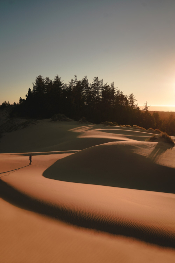 Sand Dunes Sand Dunes