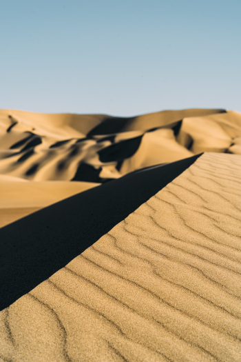 Sand Dunes Sand Dunes