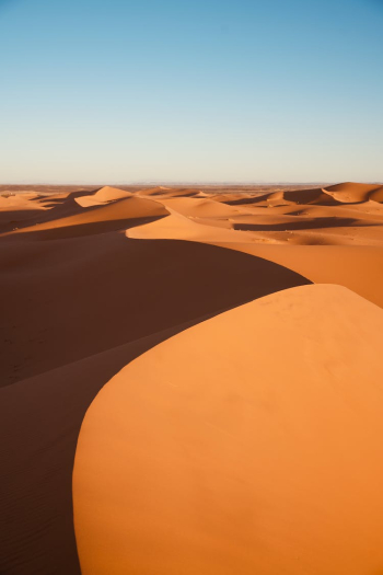 Sand Dunes in Desert Sand Dunes in Desert