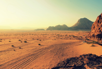 Sand Field Sand Field