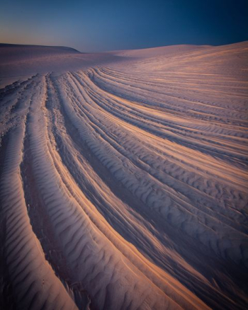 sand field sand field