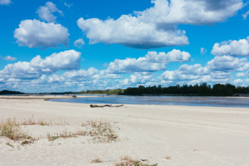 Sandy beach at the river Sandy beach at the river
