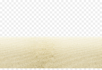 Sandy Beach Euclidean vector - Sandy beach Sandy Beach Euclidean vector - Sandy beach