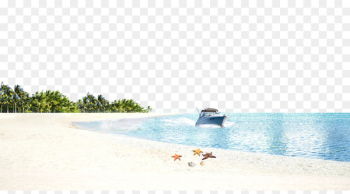 Sandy Beach Ocean Beach Wallpaper - Beach sea background material 
