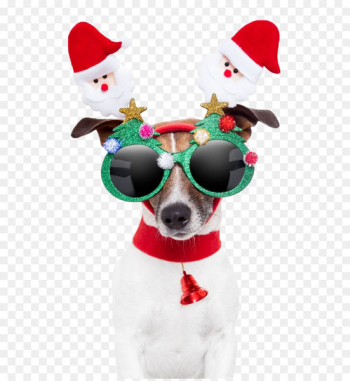 Santa Claus Dog Christmas card Gift - Christmas Dog Santa Claus Dog Christmas card Gift - Christmas Dog