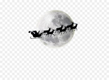 Santa Claus's reindeer Santa Claus's reindeer Christmas Moon - Santa elk sled 