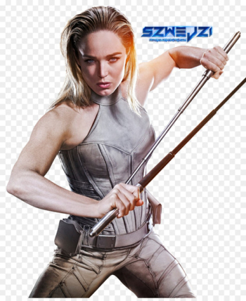 Sara Lance Black Canary Legends of Tomorrow Caity Lotz Cosplay - cosplay 