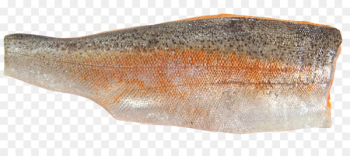 Sardine Salted fish Oily fish Food - fish Sardine Salted fish Oily fish Food - fish