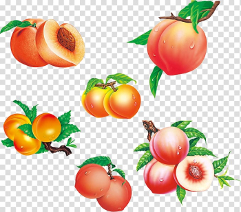 Saturn Peach Fruit Auglis, Peaches transparent background PNG clipart Saturn Peach Fruit Auglis, Peaches transparent background PNG clipart