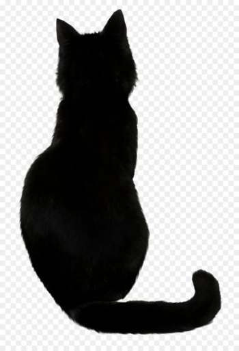Savannah cat Black cat Cat food Kitten - Witch Cat Savannah cat Black cat Cat food Kitten - Witch Cat