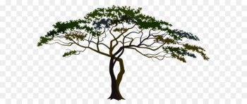 Savannah Clip art - Savannah Tree PNG Clipart Image Savannah Clip art - Savannah Tree PNG Clipart Image