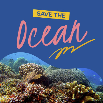 Save ocean Instagram post template, | Free PSD Template - rawpixel Save ocean Instagram post template, | Free PSD Template - rawpixel