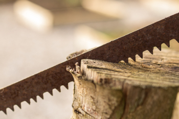 Saw on Wood Saw on Wood