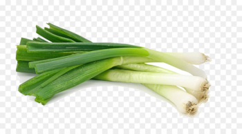 Scallion Shallot Vegetable Garlic Food - Organic vegetables green onions 