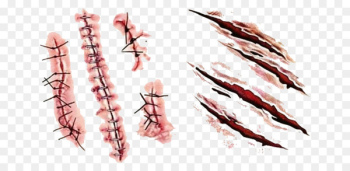 Scar Tattoo Wound Blood - Scar hand-painted Scar Tattoo Wound Blood - Scar hand-painted