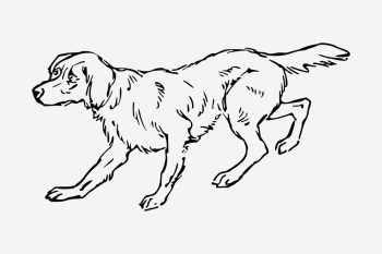 Scared dog drawing, vintage pet | Free Photo - rawpixel Scared dog drawing, vintage pet | Free Photo - rawpixel