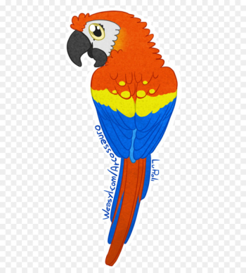 Scarlet macaw Parrot Sticker Beak - cangaccedilo badge Scarlet macaw Parrot Sticker Beak - cangaccedilo badge