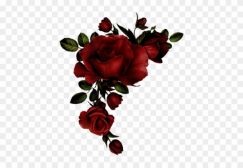 Scarletta - Red Roses Watercolor Png Scarletta - Red Roses Watercolor Png