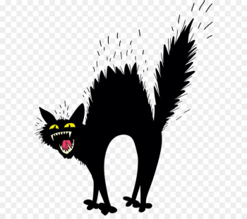 Scary black cat Scary black cat