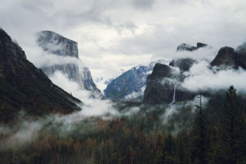 scenery of forest field and mountain