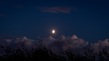 Scenic View Of Night Sky Scenic View Of Night Sky