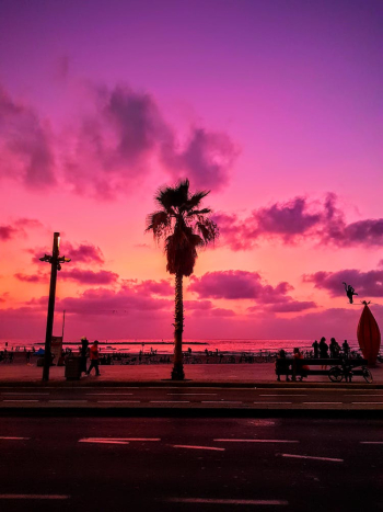 Scenic View Of Ocean During Dawn