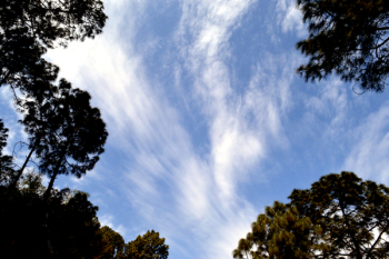 Scenic View of the Sky Scenic View of the Sky