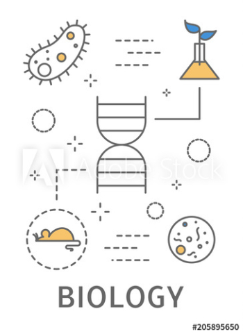 Science areas set Science areas set