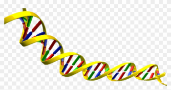 Science Clipart Dna - Dna Double Helix Png