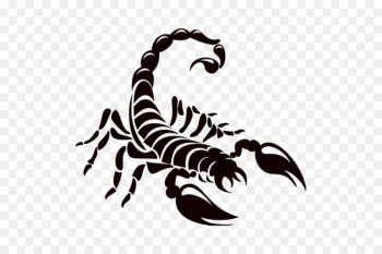 Scorpion Logo Drawing - scorpions 