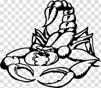 Scorpion Tattoos Free Png Image Scorpion Tattoos Free Png Image