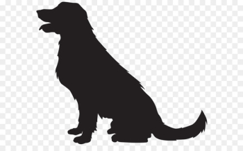Scotch Collie Cat Silhouette Clip art - Dog Silhouette PNG Transparent Clip Art Image 