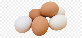 Scrambled eggs Chicken Fried egg Breakfast - Egg PNG image Scrambled eggs Chicken Fried egg Breakfast - Egg PNG image