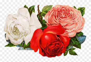 Scrapbooking Roses - Rose Scrapbooking Roses - Rose