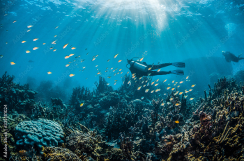 Scuba divers swimming around a colorful coral reef Scuba divers swimming around a colorful coral reef