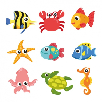 Sea animals collection Sea animals collection