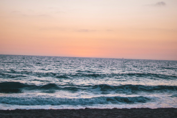 Sea during Sunset Sea during Sunset