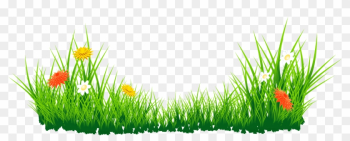 Sea Grass Clipart Grass Border - Grass Png