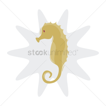 Sea horse Sea horse