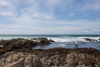 Sea Ocean Waves On Coast Rocks Sea Ocean Waves On Coast Rocks