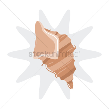 Sea shell Sea shell